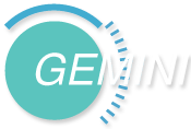 Gemini Partyschepen